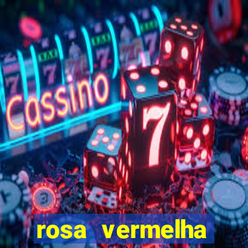rosa vermelha (letra e cifra)